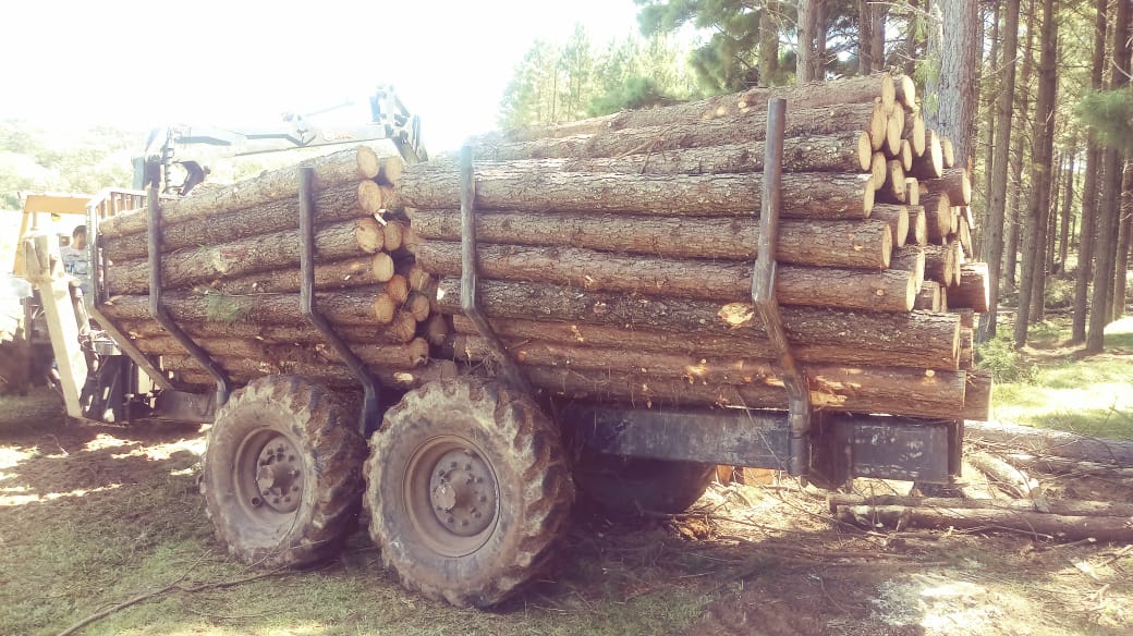 Guindaste Florestal IMF 6.5 auto carregável 2018